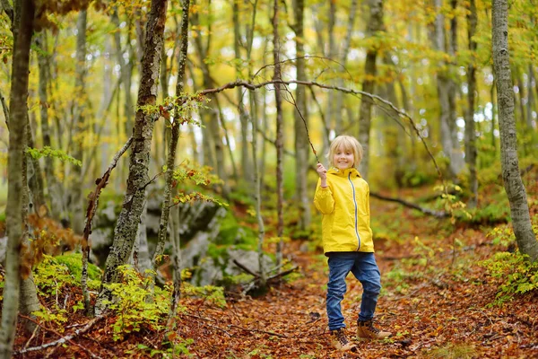 Elementary school boy walks forest in Lovcen National Park, Montenegro on an autumn day. An inquisitive boy exploring nature. Tourism and travel for family with kids. Hiking.