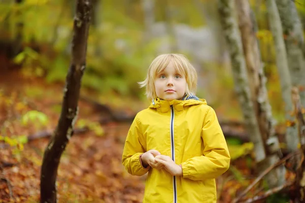Осенний День Младший Школьник Гуляет Лесу Любопытный Мальчик Изучающий Природу — стоковое фото