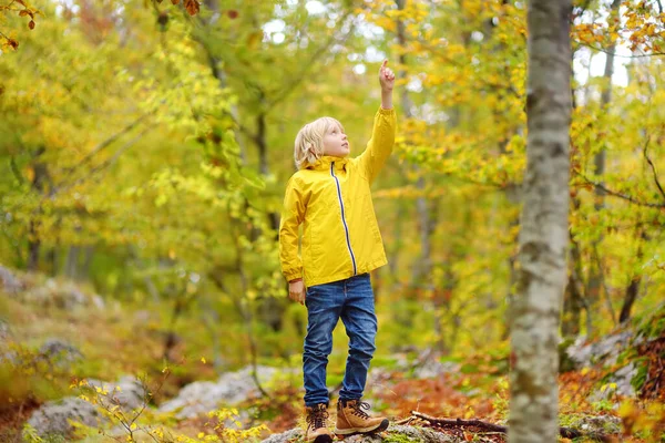 Хлопчик Початкової Школи Ходить Лісом Ловценському Національному Парку Чорногорія Восени — стокове фото