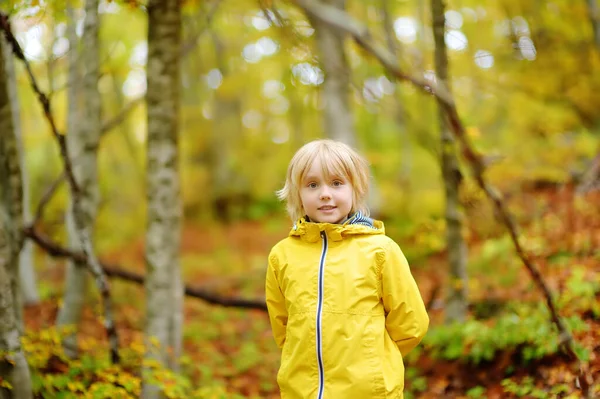 Elementär Skolpojke Vandrar Skogen Höstdag Nyfiken Pojke Som Utforskar Naturen — Stockfoto