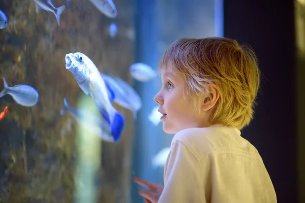 Little Boy Watches Fishes Aquarium Child Exploring Nature Elementary Student — Stock Photo, Image