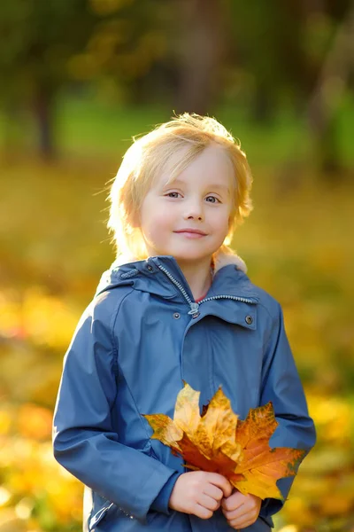 秋の公園でカエデの葉を持つかわいいブロンドの男の子の肖像画 秋の森を散歩中の未就学児 — ストック写真