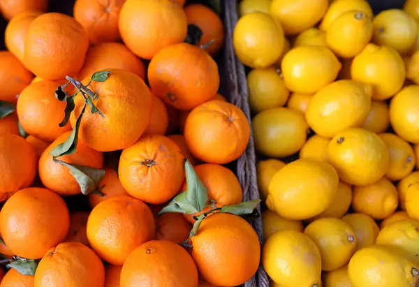 摩纳哥超市新鲜健康的生物柑橘 柠檬和橘子 有机素食 — 图库照片