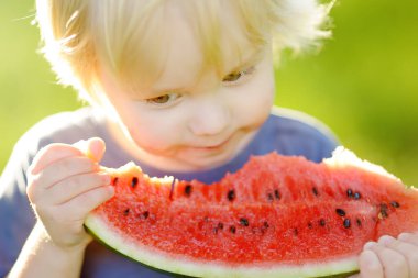 Sarışın, açık havada taze karpuz yiyen beyaz, şirin bir çocuk. Çocuklar için organik yiyecekler