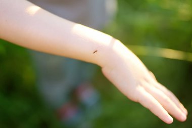Sivrisinek çocuğun elinde oturuyor. Gnat kan emiyor. Bir böceğin ısırma tehlikesi. Doğa gezintisi sırasında güvenlik çocukları için itici kullanın..