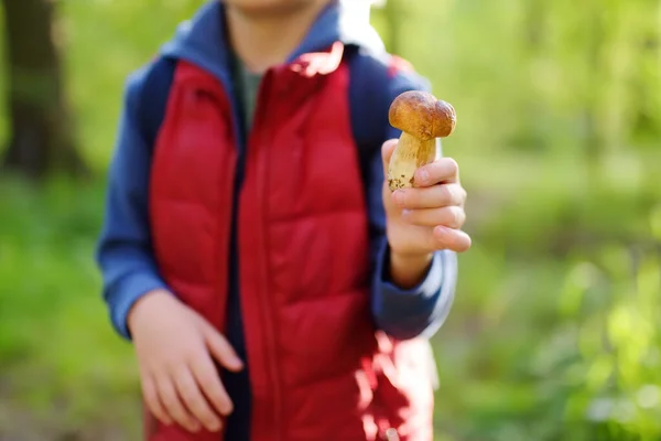 早熟的孩子和他的父母在森林里散步时采摘可食用的蘑菇 快乐的男孩在森林远足与他的爸爸 — 图库照片