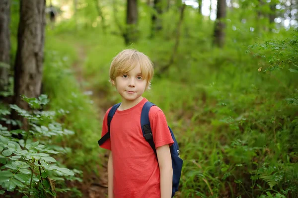 Školní Dítě Turistika Poznávání Přírody Lese Mladý Chlapec Cestuje Lesa — Stock fotografie