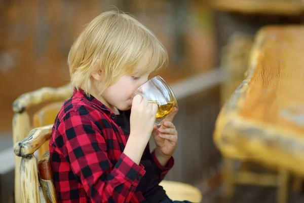 Mały Chłopiec Pijący Ziołową Herbatę Wiejskiej Kawiarni Drewnianymi Meblami Zielona — Zdjęcie stockowe