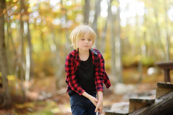 かわいいプリティーボーイは 晴れた秋の日に公園や森の中の木製の遊び場にあります 子供と家族のための自然活動 子供のためのエンターテイメントと遊園地の生態機器 — ストック写真