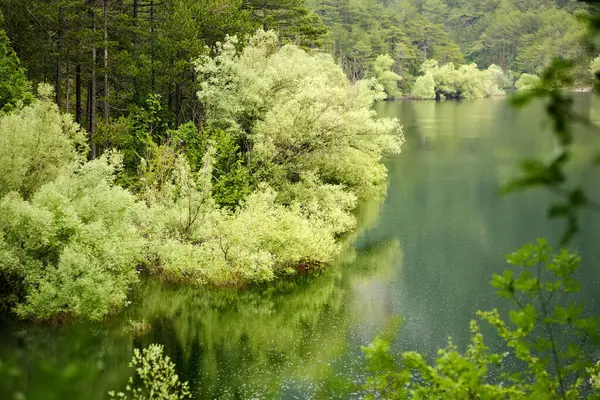 モンテネグロの山の中で森林グラホヴォ湖の風景です 自然公園内の川の素晴らしい景色 グラホフスコゴルスコジェゼロ — ストック写真