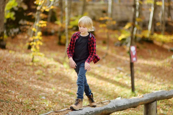 Enfant Joyeux Lors Une Randonnée Dans Forêt Par Une Journée — Photo