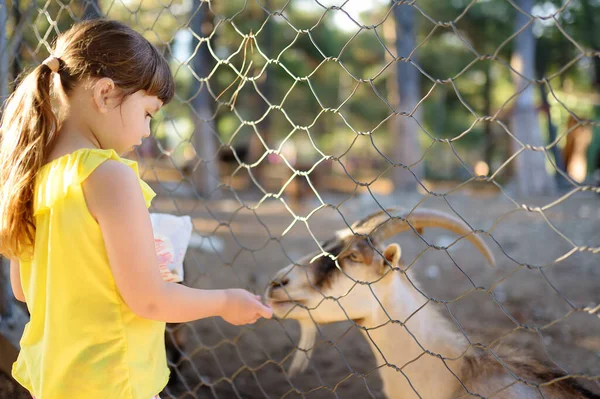 밥먹는 동물원에 아이야 동물이랑 농장에서 아이들과 동물들 아이들과 방학을 즐기는 — 스톡 사진