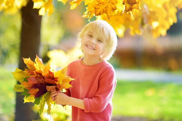 晴れた秋の日にかわいい就学前の少年の肖像画 赤黄色の落ち葉を持つ子 小さな子供と一緒にハイキング 子供のための屋外活動とレジャー — ストック写真