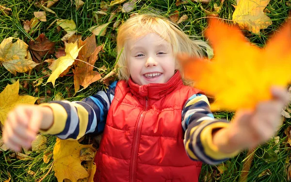 Kleiner Junge Beim Waldspaziergang Einem Sonnigen Herbsttag Verspieltes Kind Das — Stockfoto