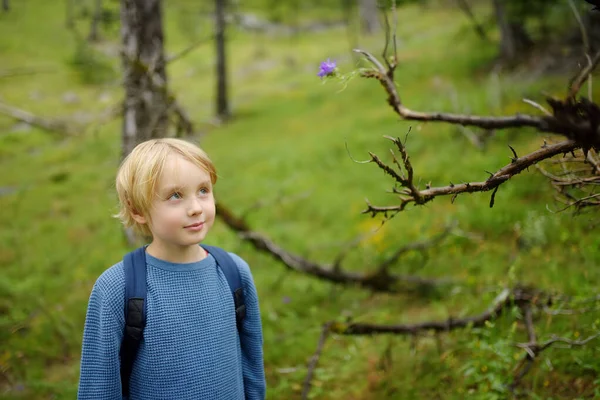 Criança Escola Está Caminhando Explorando Natureza Floresta Rapaz Pré Adolescente — Fotografia de Stock