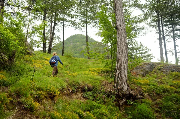 学校の子供はハイキングや森の中で自然を探索しています 未成年の少年は森の中を旅する パークランドでの好奇心旺盛な子供たちのための夏休み活動 スカウティング 子供向けのオリエンテーリング — ストック写真