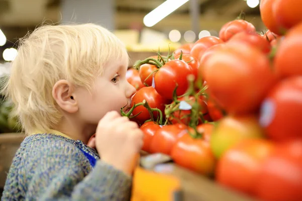 可爱的幼儿男孩在食品店或超市选择新鲜的有机西红柿 有孩子的年轻家庭的健康生活方式 — 图库照片