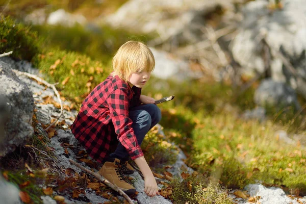 Preteen Boy Sta Esplorando Natura Divertirsi Durante Escursioni Montagna Valle — Foto Stock