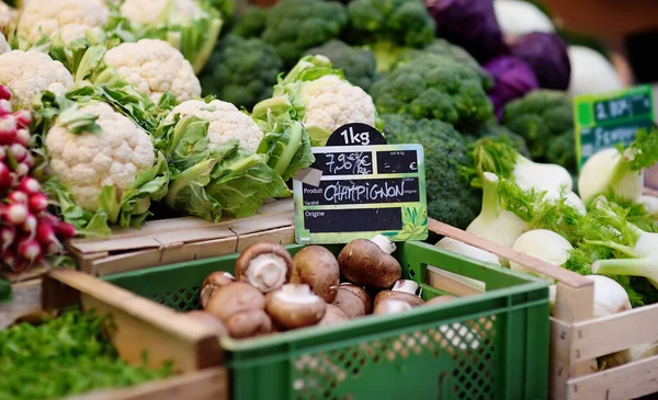 Čerstvé Bio Houby Různé Zeleniny Zemědělce Trhu Štrasburku Typická Evropská — Stock fotografie
