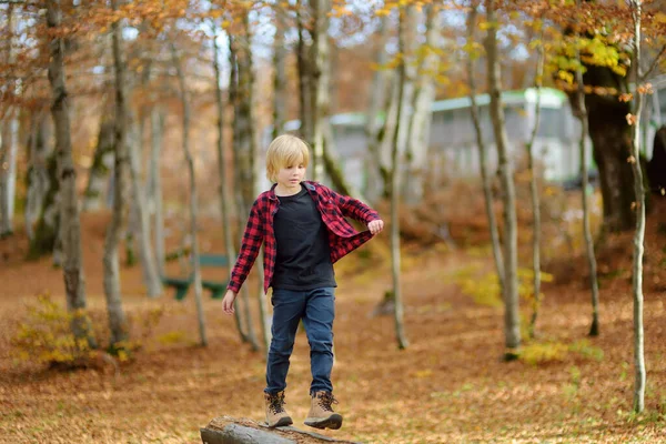 晴れた秋の日に森の中でハイキング中の陽気な子供 秋の森を歩いている間に 十代の少年は楽しんでいます 自然の中でアクティブなレジャー家族の時間 — ストック写真