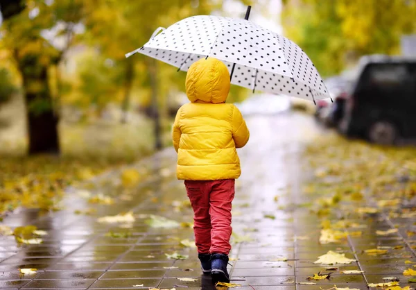 Küçük Çocuk Yağmurlu Sonbahar Günü Şehir Park Yürüyordunuz Yürümeye Başlayan — Stok fotoğraf
