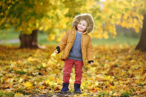 Маленький Хлопчик Під Час Прогулянки Лісі Сонячний Осінній День Активний — стокове фото