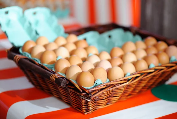 Çiftlik Biyolojik Yumurtaları Küçük Bir Markette Satılıyor — Stok fotoğraf