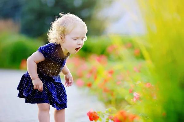 Niedliche Lockige Haare Kleinkind Mädchen Riecht Rote Blumen Frühlingstag Oder — Stockfoto