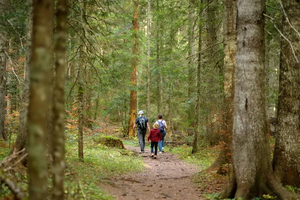 祖父母と孫が森でハイキングをしている ウッドランドを旅する家族 探求的な子供のための夏の休暇活動 アドベンチャー スカウト ハイキング — ストック写真