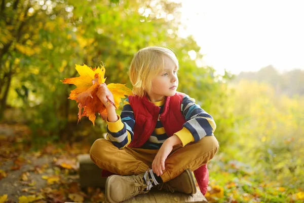 秋の晴れた日に森の中を散歩中の小さな男の子 カエデの葉を遊んでいる子供 自然の中でアクティブな家族の時間 小さな子供と一緒にハイキング 葉がざわめき — ストック写真