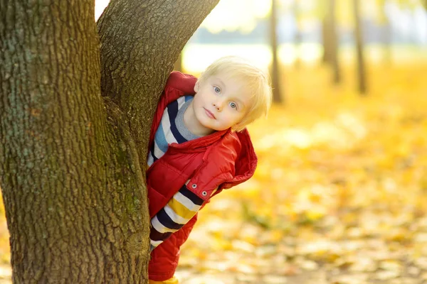 秋日阳光明媚的时候 在森林里散步时 把这个快乐的小男孩的画像合拢起来 家庭在大自然中的活跃时间 带着小孩远足 — 图库照片