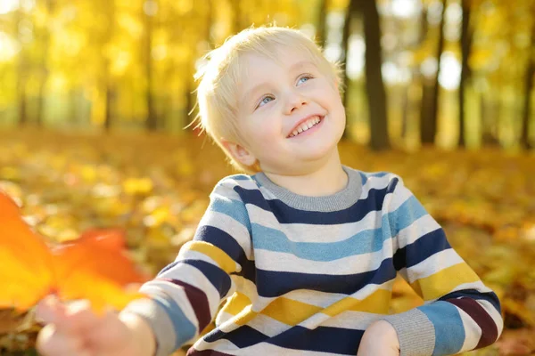 Zavřít Portrét Šťastného Chlapečka Během Procházky Lese Slunečného Podzimního Dne — Stock fotografie