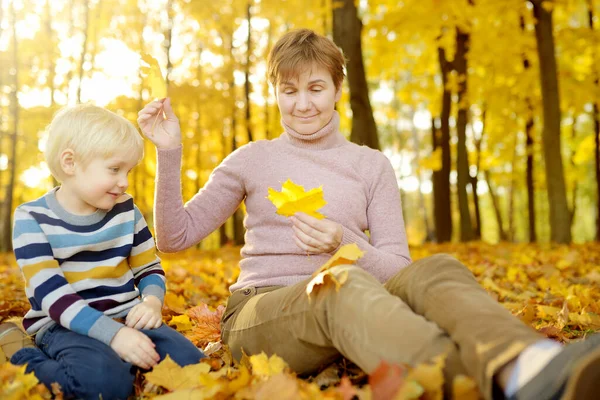 秋天阳光灿烂的日子 小男孩和他的祖母在森林里散步的时候玩得很开心 小孩和奶奶在玩枫叶 家庭探索自然 带着小孩远足 — 图库照片