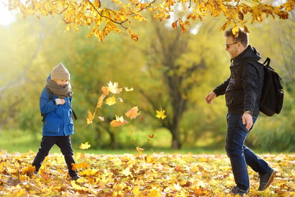 リトルボーイと彼の成熟した父親は 晴れた寒い秋の日に市立公園で散歩中に楽しんでいます 子供とパパがメープルを弾いている 赤ん坊は葉を投げる アクティブな家族の時間を自然に — ストック写真