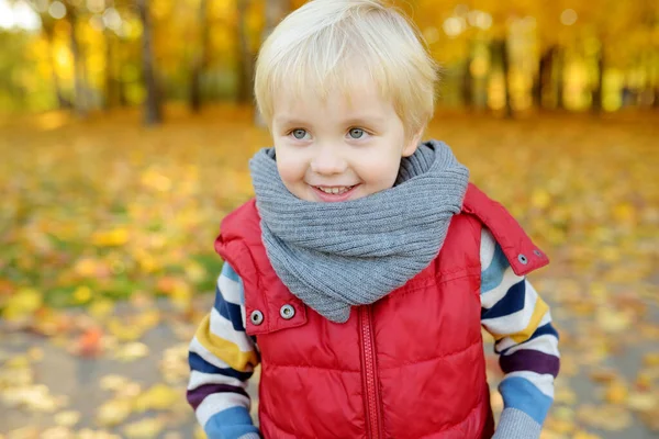 Zamknij Portret Wesołego Chłopca Podczas Spaceru Lesie Słoneczny Jesienny Dzień — Zdjęcie stockowe