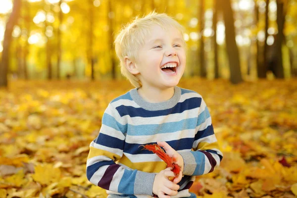 Ritratto Ravvicinato Bambino Felice Durante Una Passeggiata Nella Foresta Nella — Foto Stock