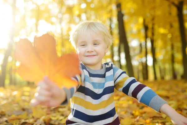 Закройте Портрет Счастливого Мальчика Время Прогулки Лесу Солнечный Осенний День — стоковое фото