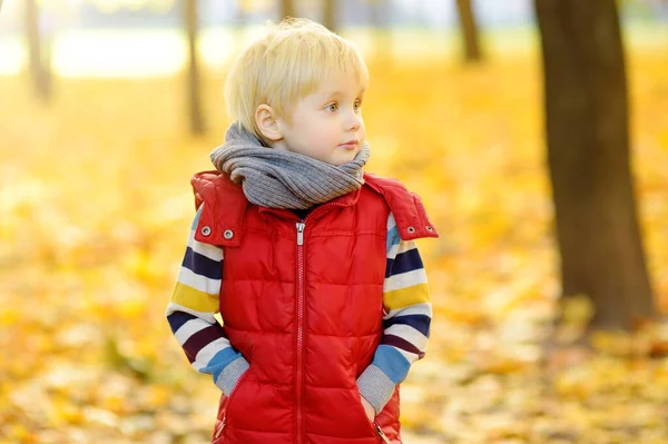 Portrait Little Boy Stroll Forest Sunny Autumn Day Active Family — Stock Photo, Image