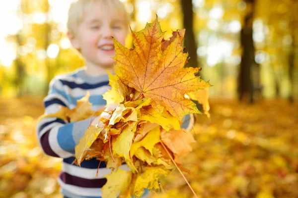 Kleiner Junge Beim Waldspaziergang Einem Sonnigen Herbsttag Kind Spielt Ahornblätter — Stockfoto