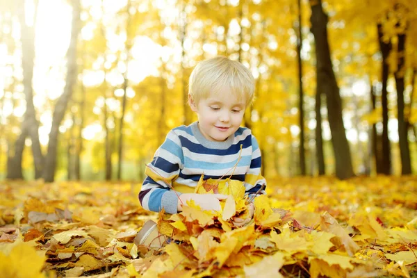 Маленький Хлопчик Веселиться Під Час Прогулянки Лісі Сонячний Осінній День — стокове фото