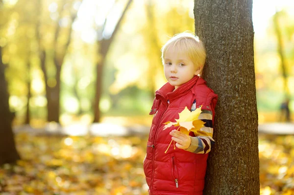 秋日阳光明媚的时候 在森林里散步时 把这个体贴的小男孩的画像合拢起来 家庭在大自然中的活跃时间 和小孩一起远足秋天的心情 — 图库照片