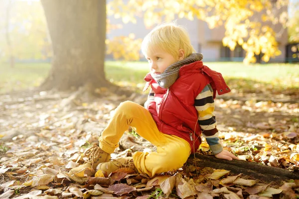Close Portrait Thoughtful Little Boy Stroll Forest Sunny Autumn Day — Stock Photo, Image