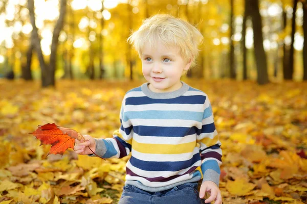Закройте Портрет Счастливого Мальчика Время Прогулки Лесу Солнечный Осенний День — стоковое фото