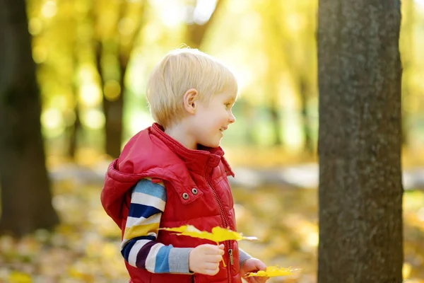 日当たりの良い秋の森で散歩中に小さな男の子の肖像 自然界でのアクティブな家族の時間 小さな子供とハイキング — ストック写真