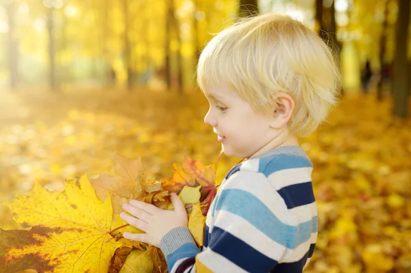 Menino Divertindo Durante Passeio Floresta Dia Ensolarado Outono Criança Brincar — Fotografia de Stock