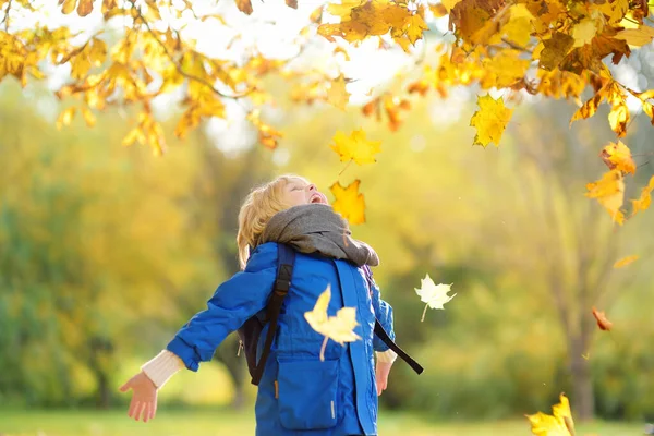 日当たりの良い秋の森で散歩中に楽しんでいる小さな少年 メープルを弾く子供は去っていく 赤ん坊は葉を投げる 自然界でのアクティブな家族の時間 小さな子供たちと一緒にハイキング 乾燥した葉錆 — ストック写真