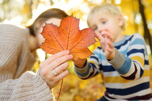 Menino Sua Mãe Divertindo Durante Passeio Floresta Dia Ensolarado Outono — Fotografia de Stock