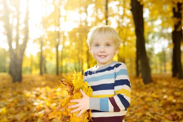 日当たりの良い秋の森で散歩中に楽しんでいる小さな少年 メープルを弾く子供は去っていく 赤ん坊は葉を投げる 自然界でのアクティブな家族の時間 小さな子供たちと一緒にハイキング 乾燥した葉錆 — ストック写真