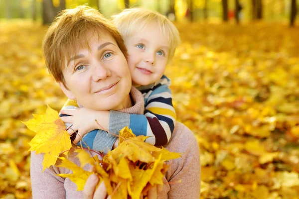 小男孩在阳光灿烂的秋天公园散步时拥抱了他的祖母 祖父母和孩子之间的友谊 两代家庭 — 图库照片