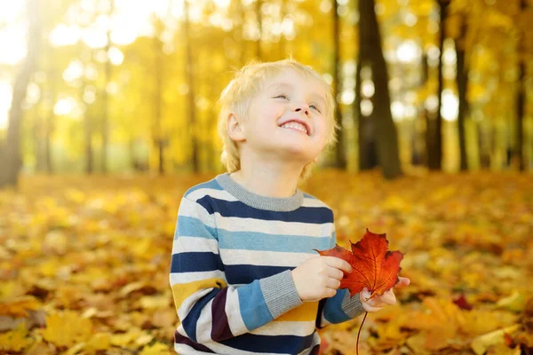 晴れた秋の日の森を散策中に幸せな少年の肖像画を閉じます 自然界でのアクティブな家族の時間 小さな子供とハイキング — ストック写真